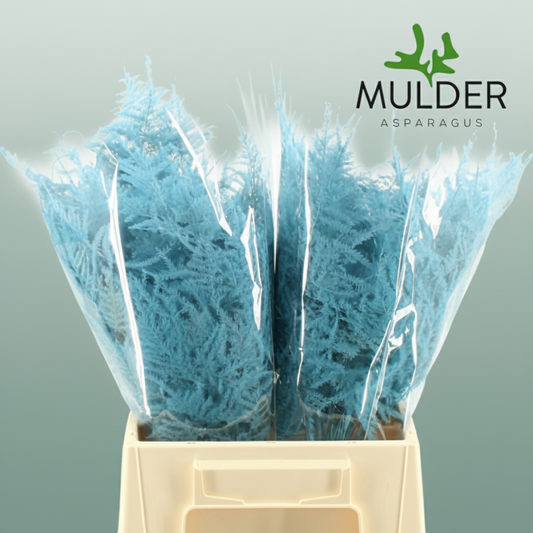 GR Asparagus Turquise Dyed