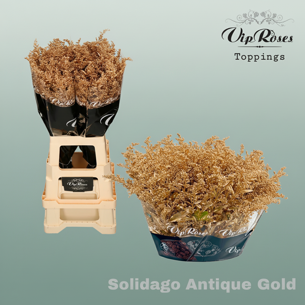 Solidago Dyed Antique Gold