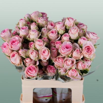 Rose Good Mood (Spray) (10 Stems)