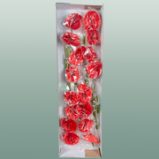 Anthurium Impulz
