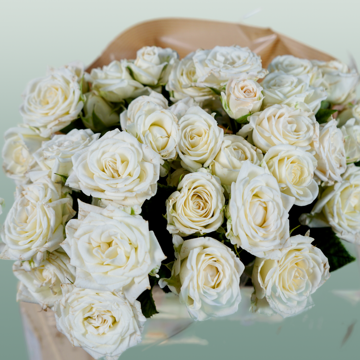 Spray Rose Josephine