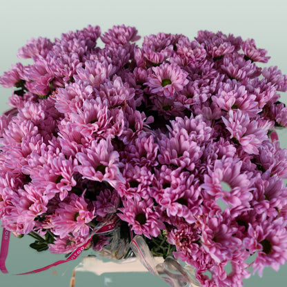 Chrysanthemum Spray Katinka