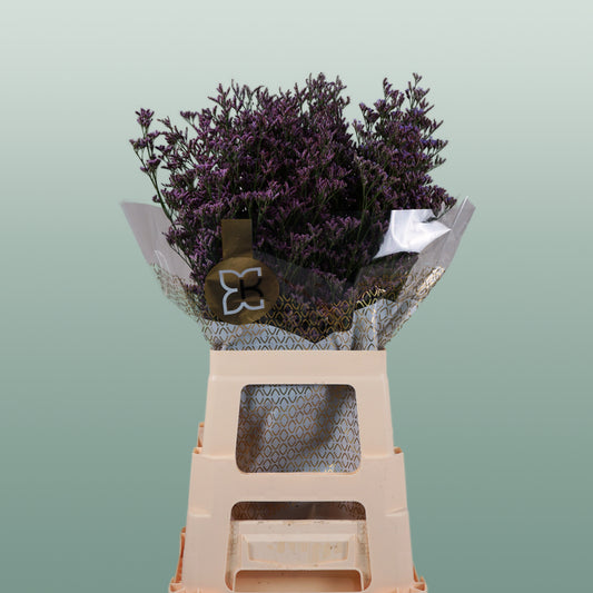 Limonium Main Blue (25 Stems)