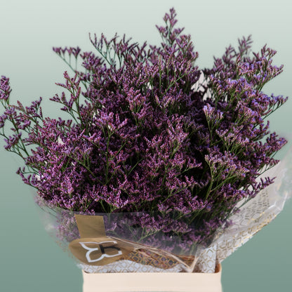 Limonium Safora Dark Blue (25 Stems)