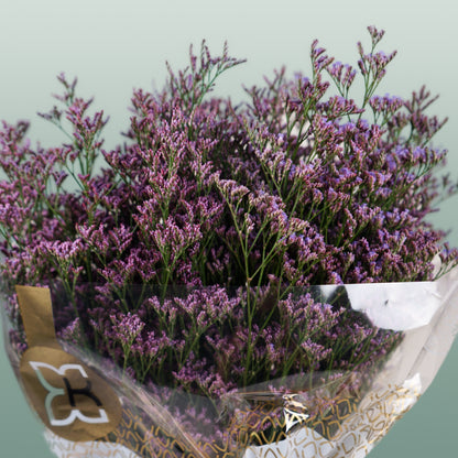 Limonium Safora Dark Blue (25 Stems)