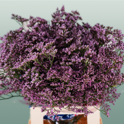 Limonium Oshi Pink (25 Stems)