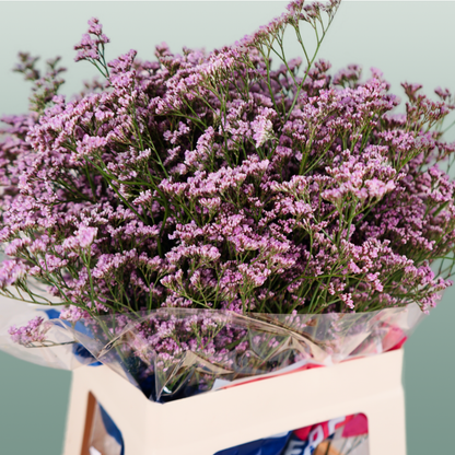 Limonium Oshi Pink (25 Stems)