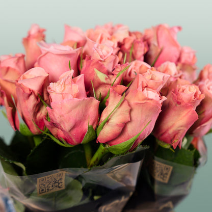 Rose Maureen (20 Stems)