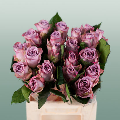 Rose Memory Lane! (20 Stems)