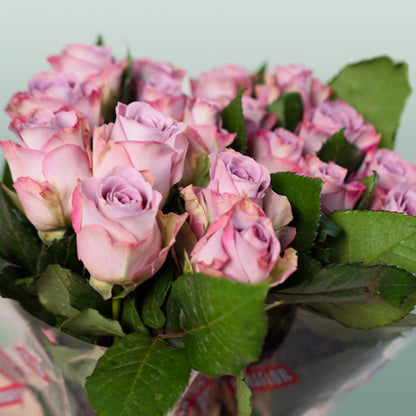 Rose Memory Lane! (20 Stems)