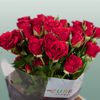 Spray Rose Mirabel Rood