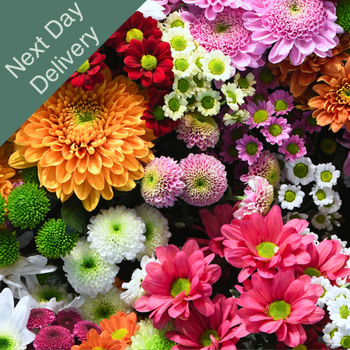 Wholesalers Choice (Next Day)