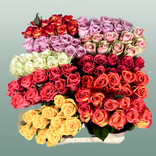 Rose Mix Var (100 Stems)