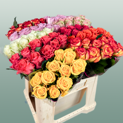 Rose Mix Var (100 Stems)