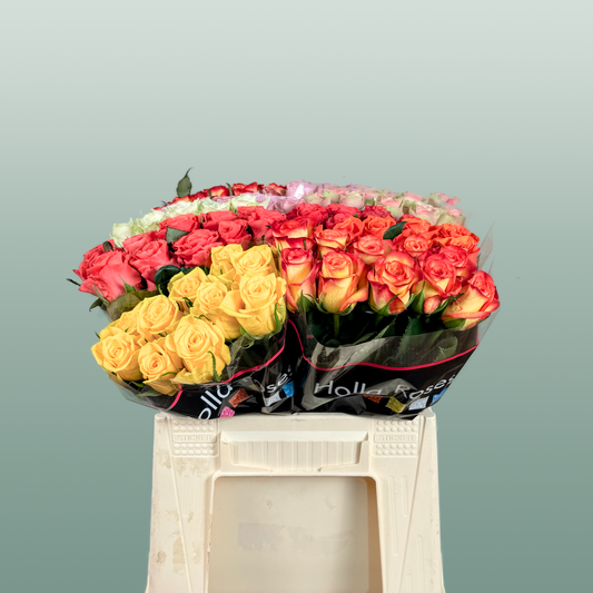 Rose Mix Var (100 Stems)