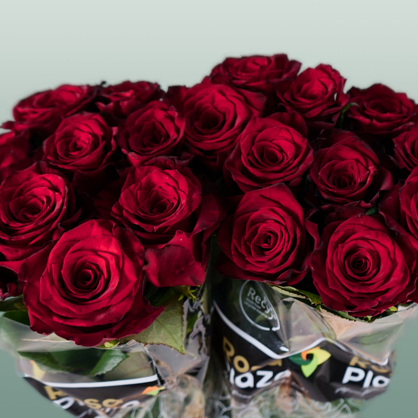 Rose Monte Carlo (20 Stems)