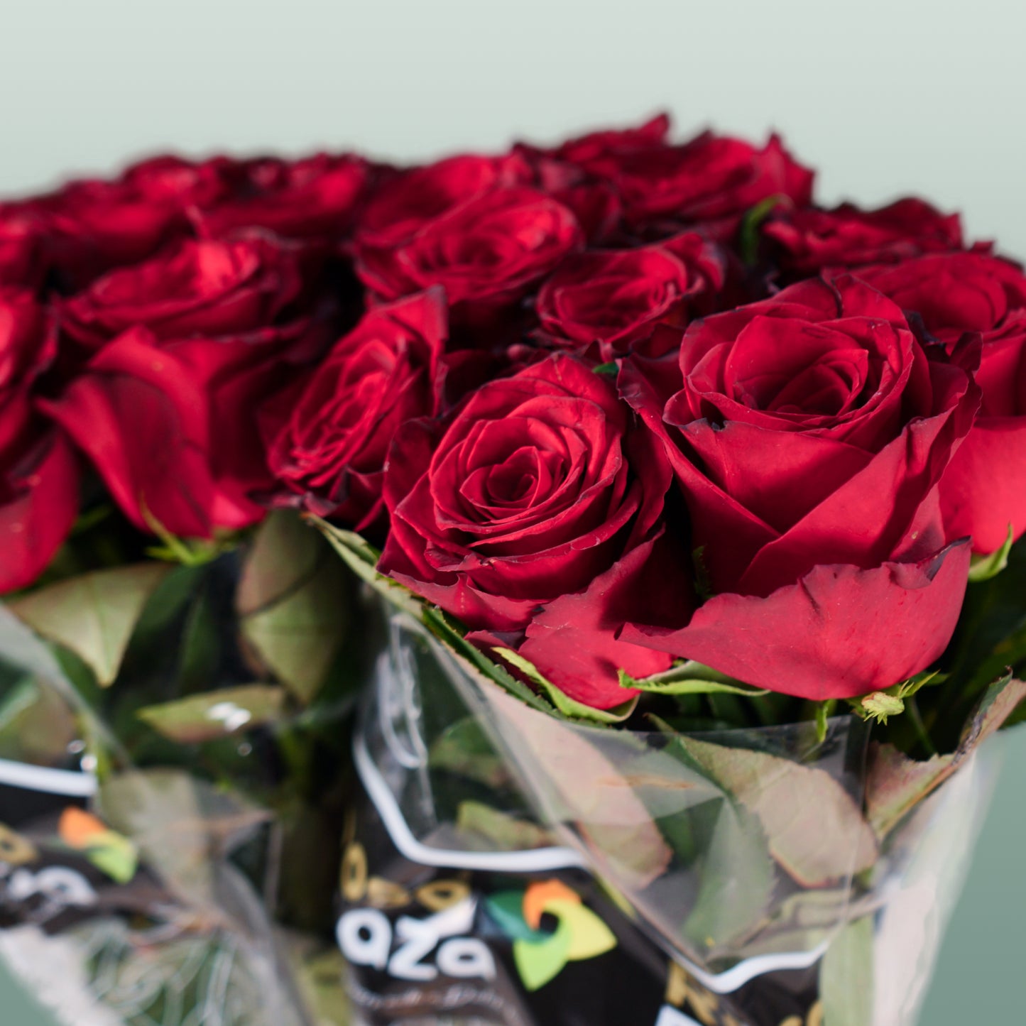 Rose Monte Carlo (20 Stems)