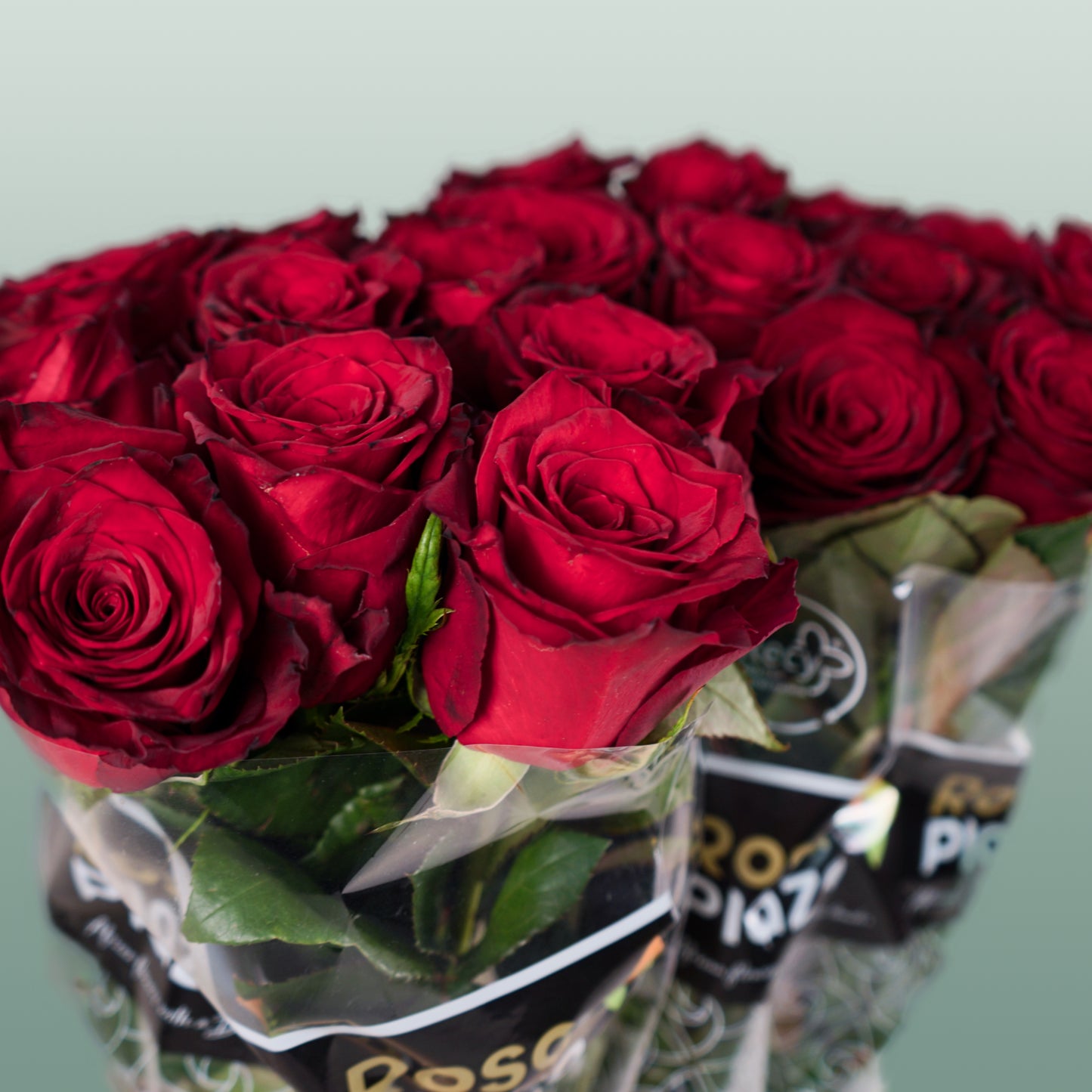 Rose Monte Carlo (20 Stems)