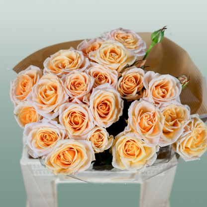 Spray Rose Morning Star
