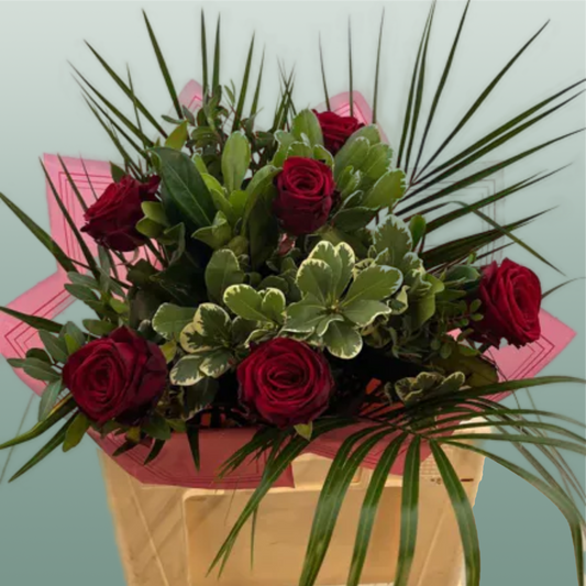 Red Naomi Half Dozen BQ