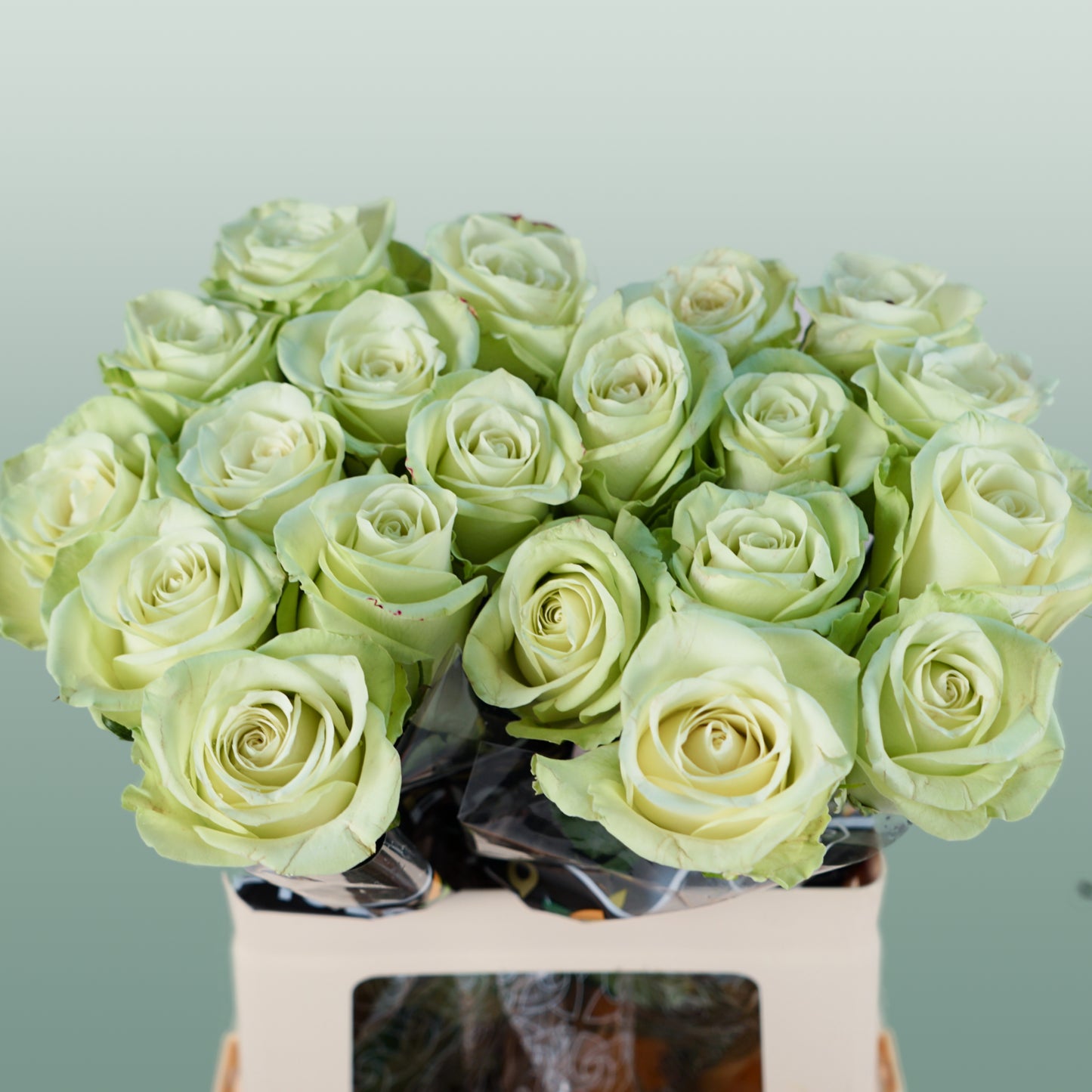 Rose Noelle (20 Stems)