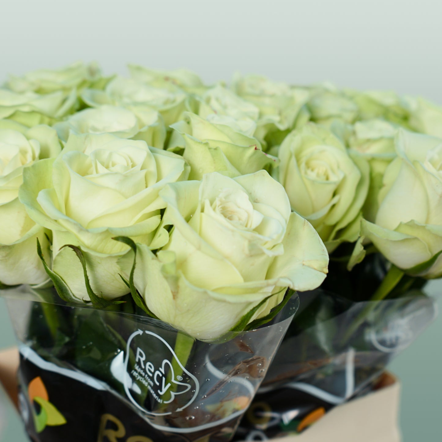 Rose Noelle (20 Stems)