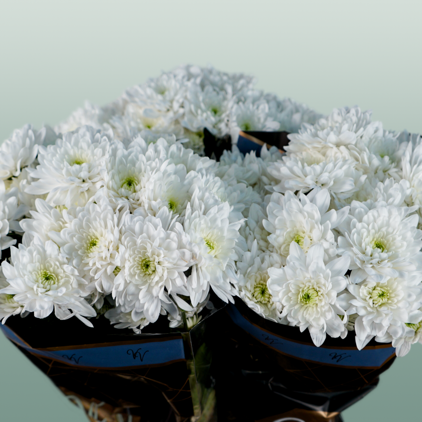 Chrysanthemum Spray Pina Colada White