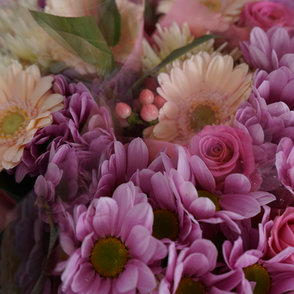 5 Stem Pink Bouquet (10 Bunches)