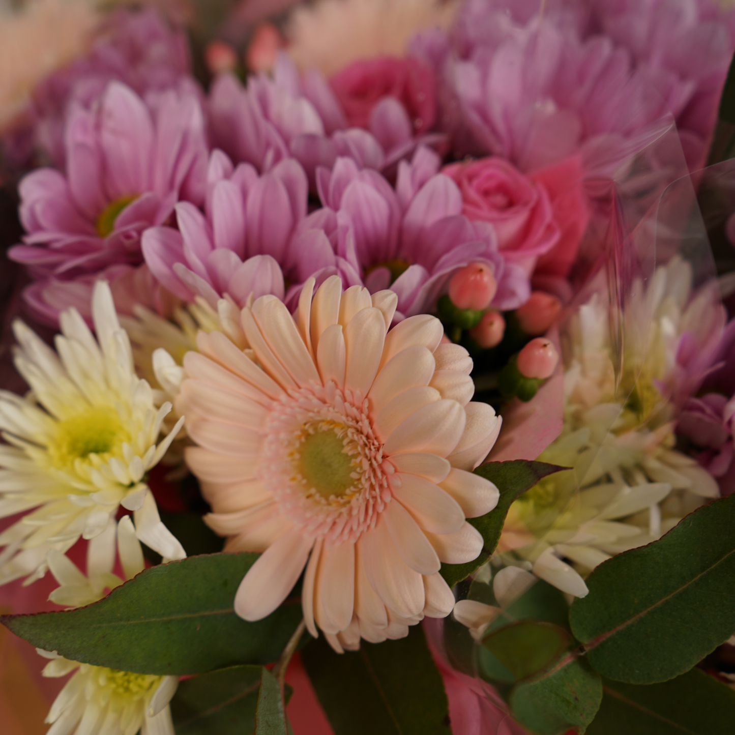 5 Stem Pink Bouquet (10 Bunches)