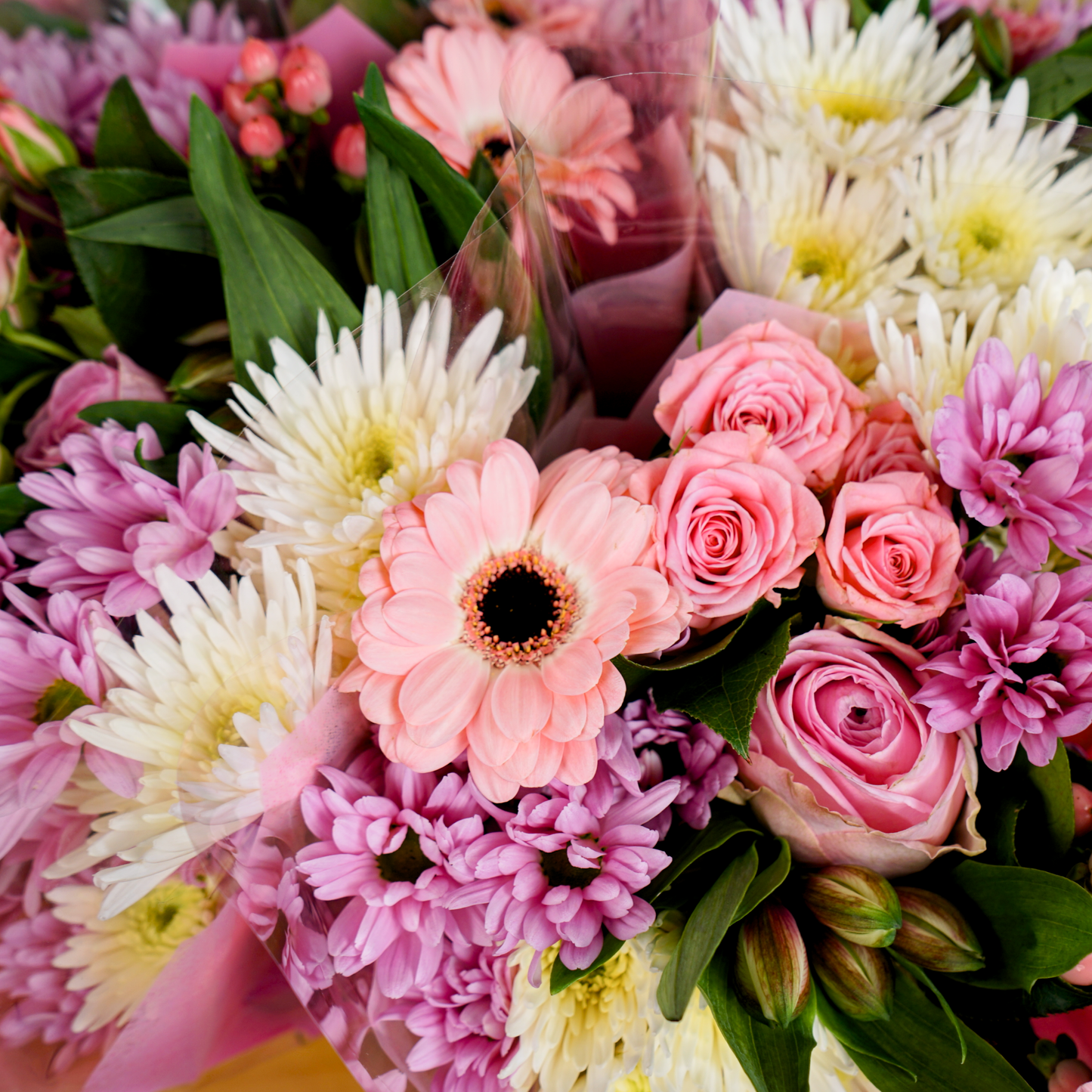 10 Stem Pink Bouquet (10 Bunches)