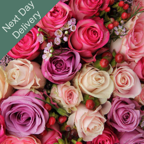 Wholesalers Choice (Next Day)