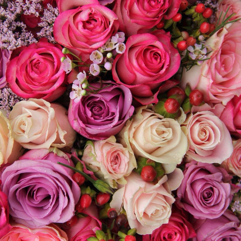 Wholesalers Choice Pink