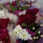 5 Stem Purple Bouquet (10 Bunches)