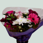 10 Stem Purple Bouquet (10 Bunches)