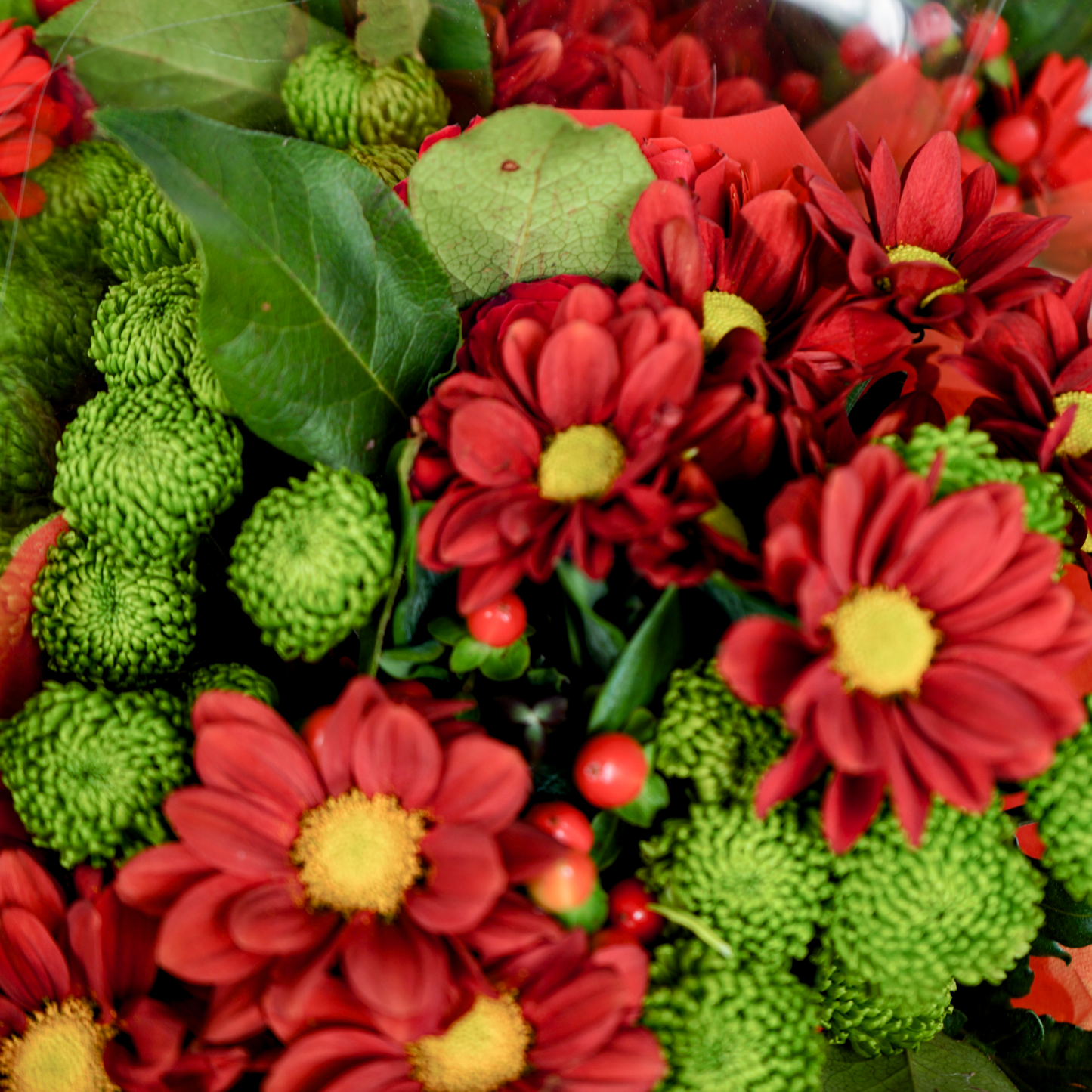 10 Stem Red Bouquet (10 Bunches)