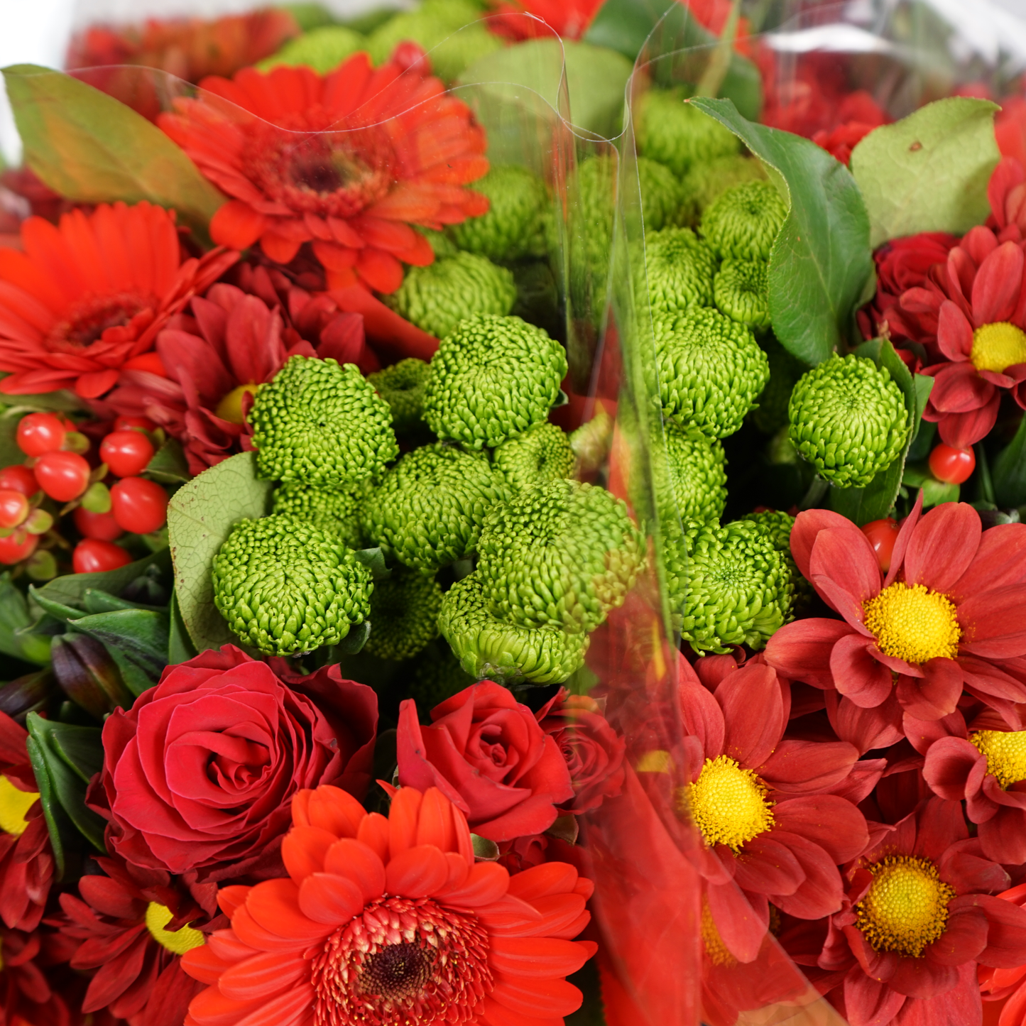 10 Stem Red Bouquet (10 Bunches)