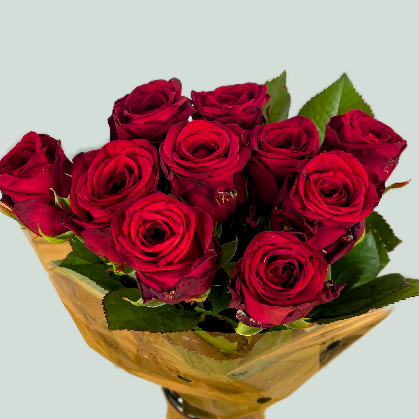 Rose Red Naomi 40-80cm (10 Stems)