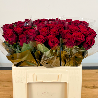 Rose Red Naomi (20 Stems)