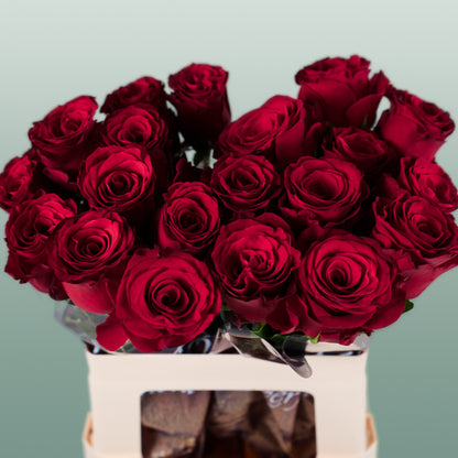 Rose Rhodos (20 Stems)