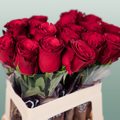 Rose Rhodos (20 Stems)