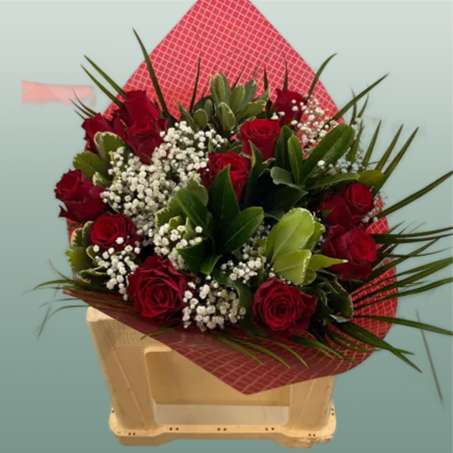 Rhodos Dozen BQ With Gyp