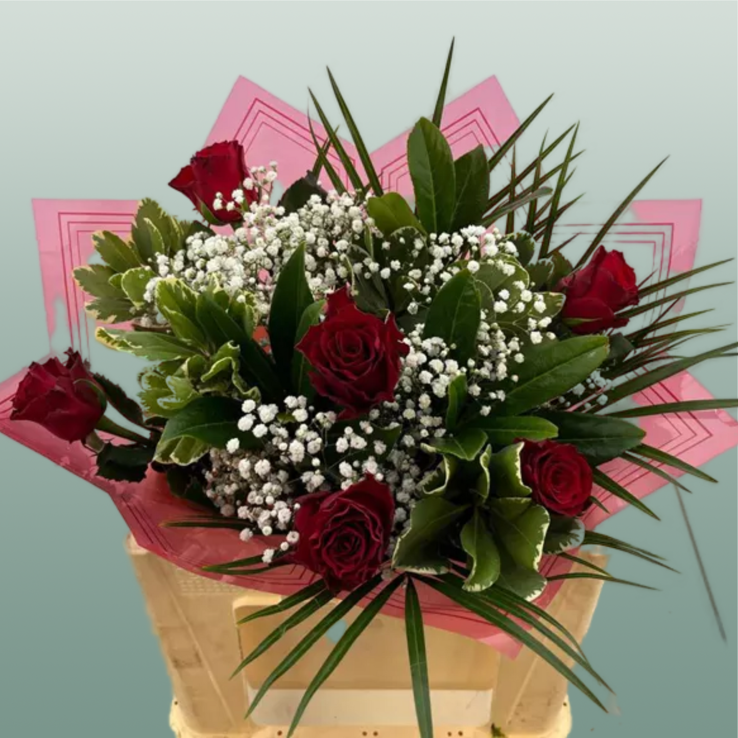 Rhodos Half Dozen BQ With Gyp