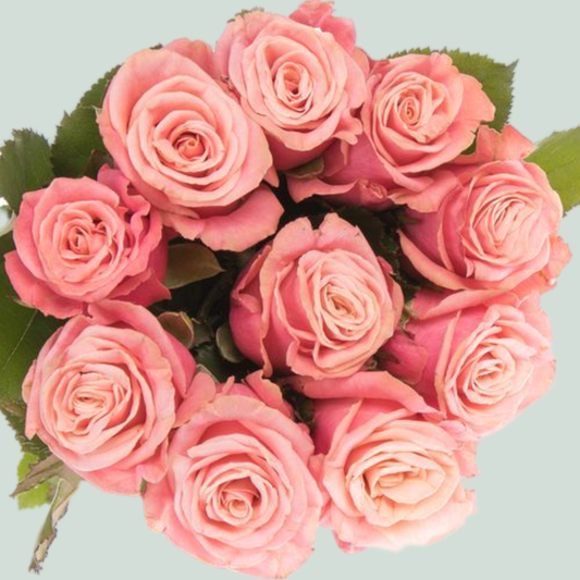 Rose Adele (20 Stems)