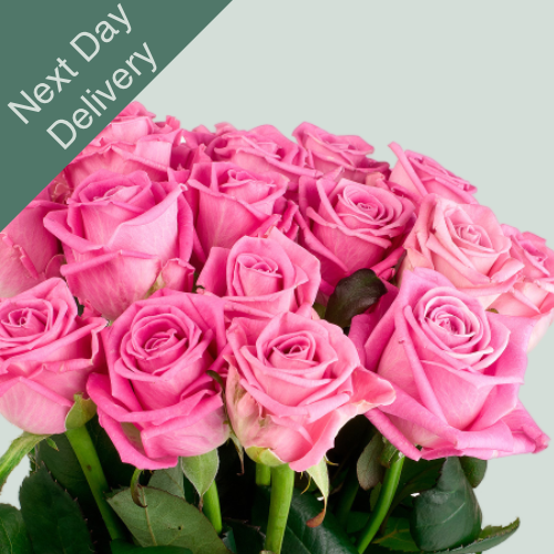 Rose Aqua - 10 Stems (Next Day)