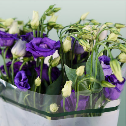 Eustoma Rosita Blue (10 Stems)