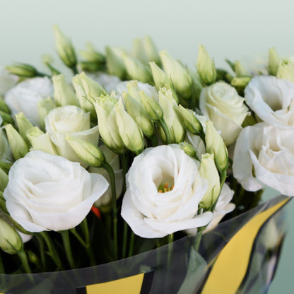 Eustoma Rosita White (10 Stems)