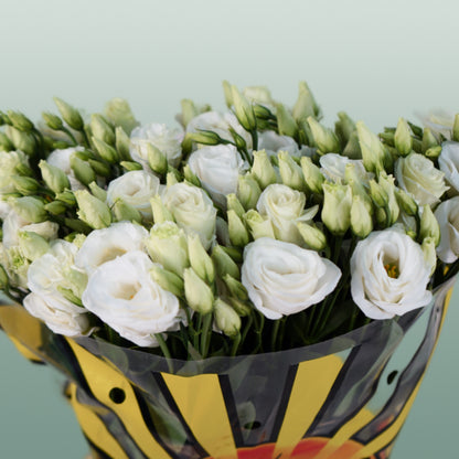 Eustoma Rosita White (10 Stems)