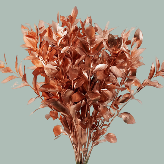 GR Ruscus Hard Dyed Copper