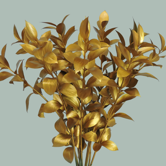 GR Ruscus Hard Dyed Gold