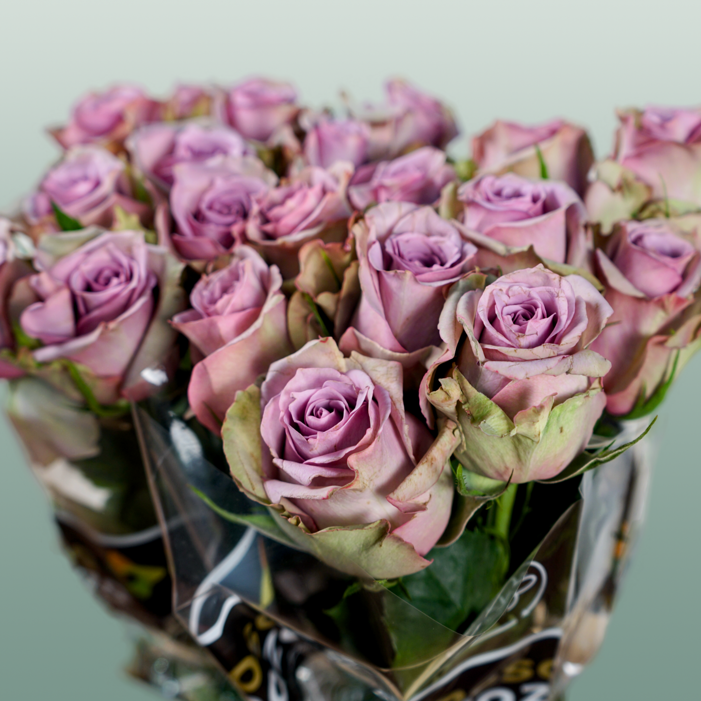 Rose Samantha Bridal